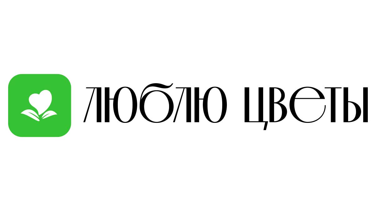 Маленькие букетики из сухоцветов с доставкой в Сортавале - Купить от по  лучше цене | Интернет-магазин «Люблю цветы»